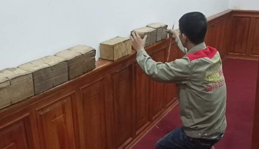 Các phương pháp diệt mối hiệu quả, an toàn cho gia đình