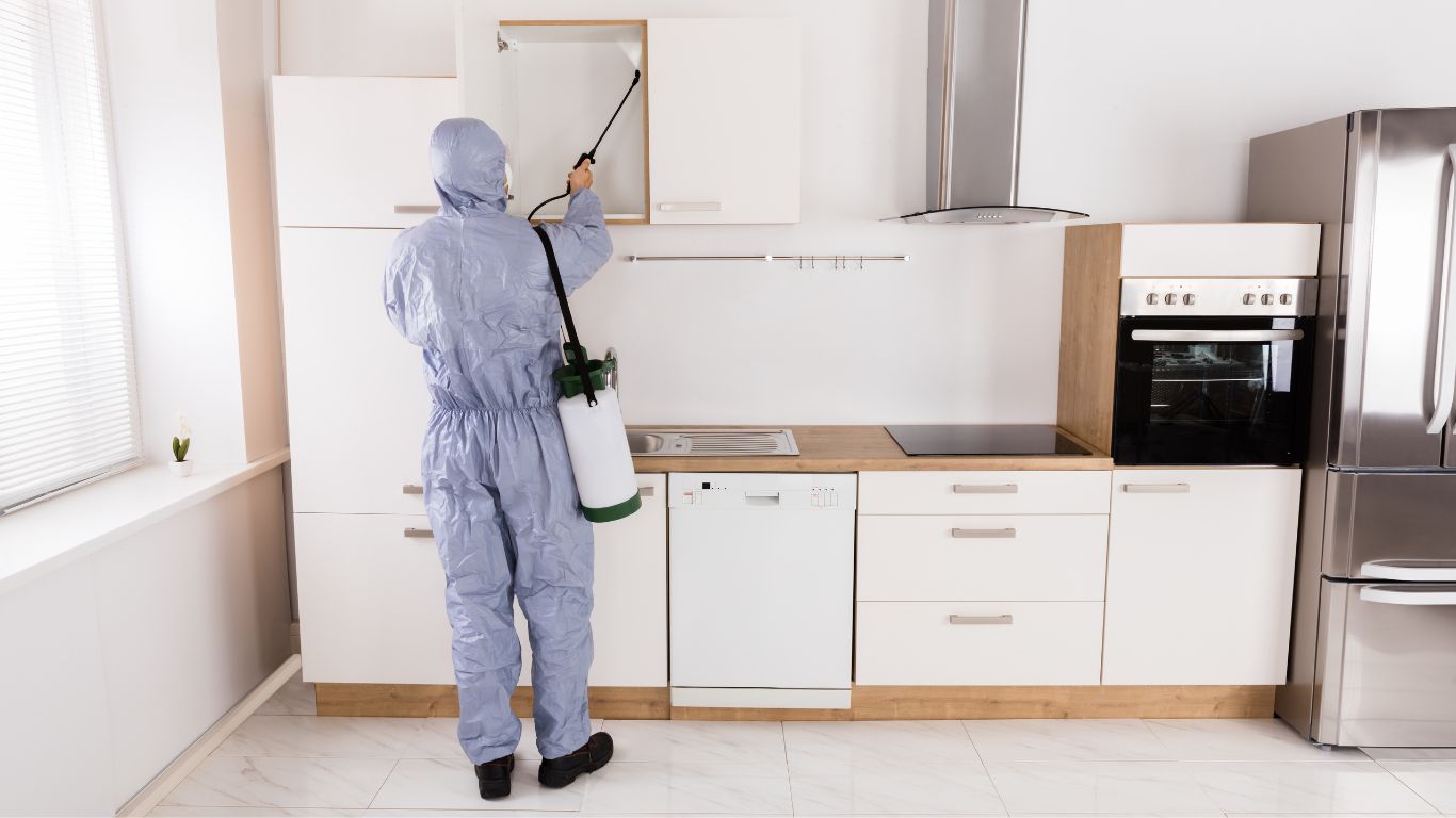 Quy trình diệt mối tại Thái Bình của Xuyên Việt Group từ khảo sát đến bảo trì.