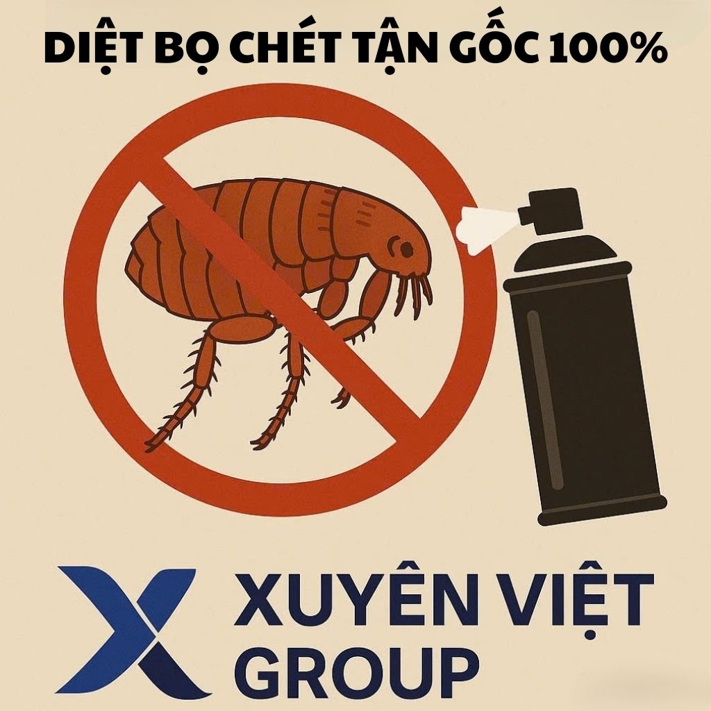 Xuyên Việt Group – Diệt bọ chét Bắc Từ Liêm an toàn, bảo hành dài hạn!