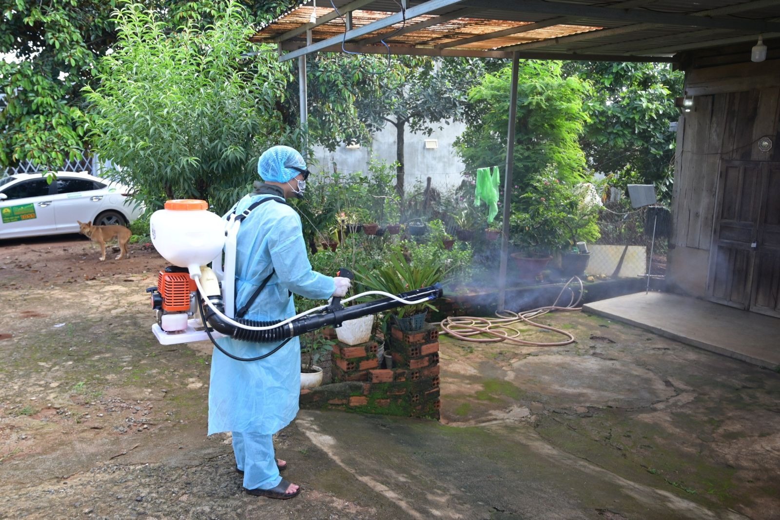 Dịch vụ diệt muỗi chuyên nghiệp tại huyện Đông Anh