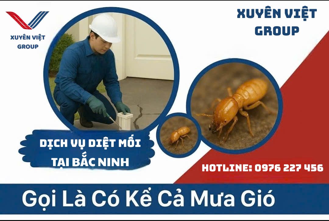 Dịch vụ diệt mối tại Bắc Ninh – Không tái phát, an toàn tuyệt đối