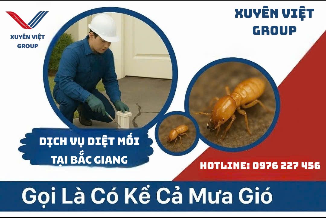 Diệt mối tại nhà ở Bắc Giang – Loại bỏ tận gốc, bảo vệ công trình dài lâu