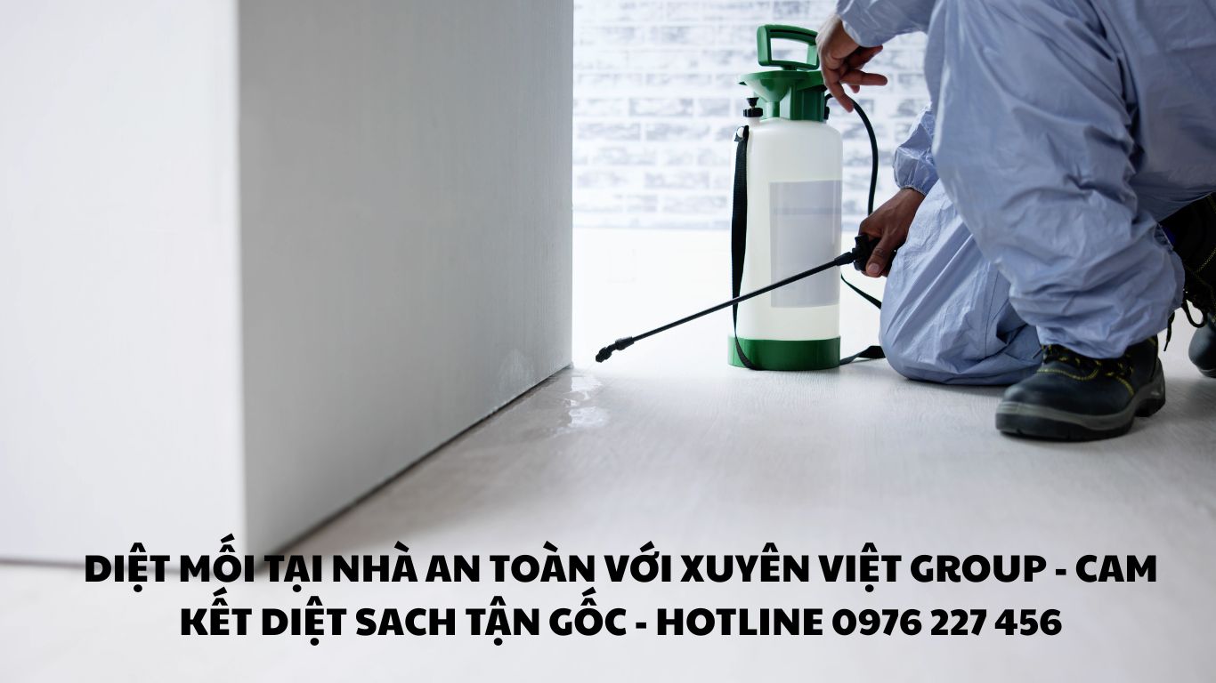 Diệt mối tại huyện Ứng Hòa – Chuyên gia xử lý tận gốc uy tín
