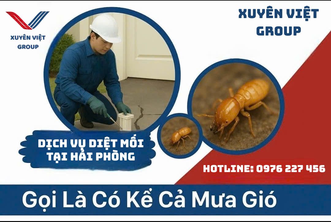 Xuyên Việt Group – Dịch vụ diệt mối tại Hải Phòng, bảo vệ công trình dài lâu!