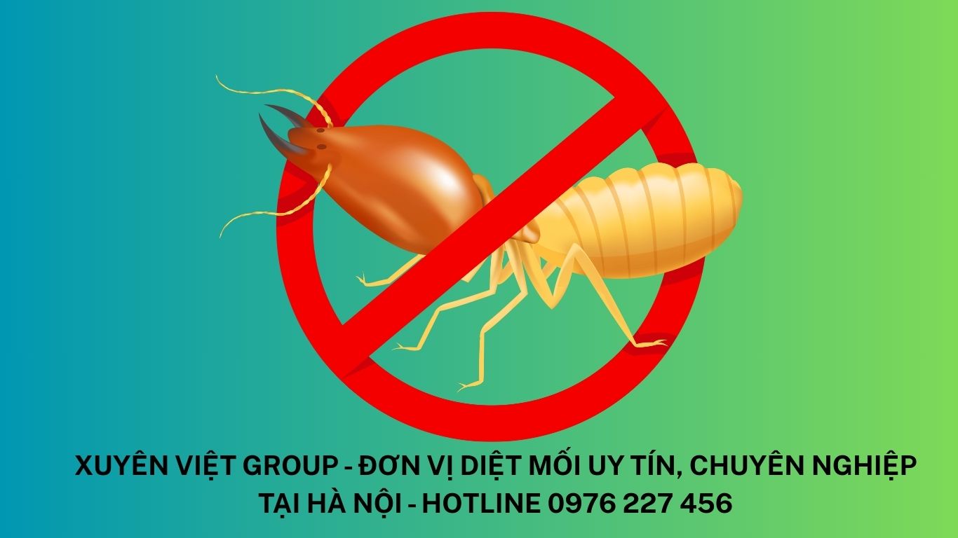 Diệt Mối Tại Huyện Gia Lâm – Giải Pháp Tối Ưu Cho Nhà Bạn!