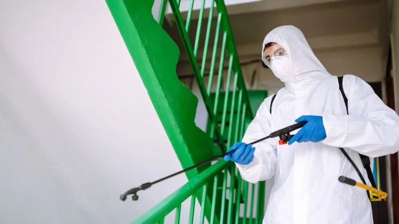 Giá dịch vụ phun thuốc diệt muỗi tại Cao Bằng – Chi tiết và thông tin cụ thể