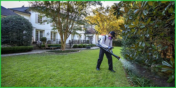 Phun thuốc diệt muỗi ngoài trời mang lại hiệu quả cao