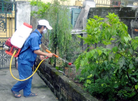 Xem thêm: Phun Hóa Chất Diệt Muỗi Phòng Bệnh Tại Huyện Ứng Hòa, Hà Nội