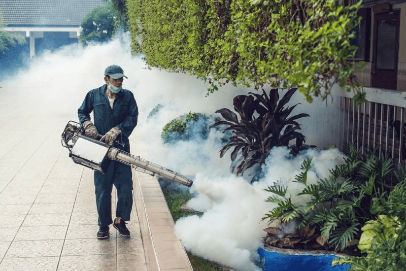 Diệt Muỗi Tại Huyện Thanh Oai - Diệt sạch tận gốc uy tín