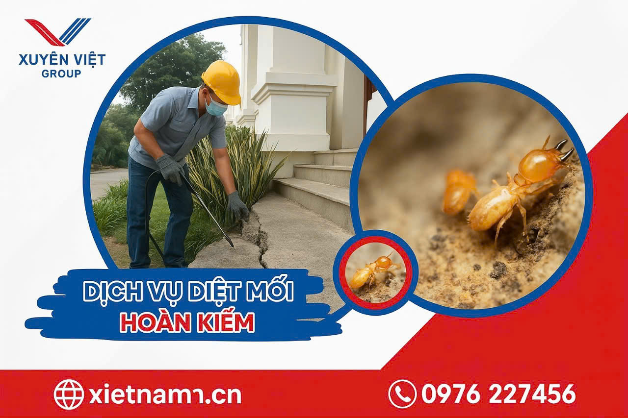 Nói không với mối mọt – Diệt mối tại nhà quận Hoàn Kiếm nhanh, sạch, bền!