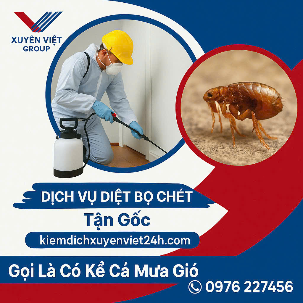 Dịch Vụ Diệt Bọ Chét Huyện Thanh Trì – Cam Kết An Toàn, Giá Rẻ!