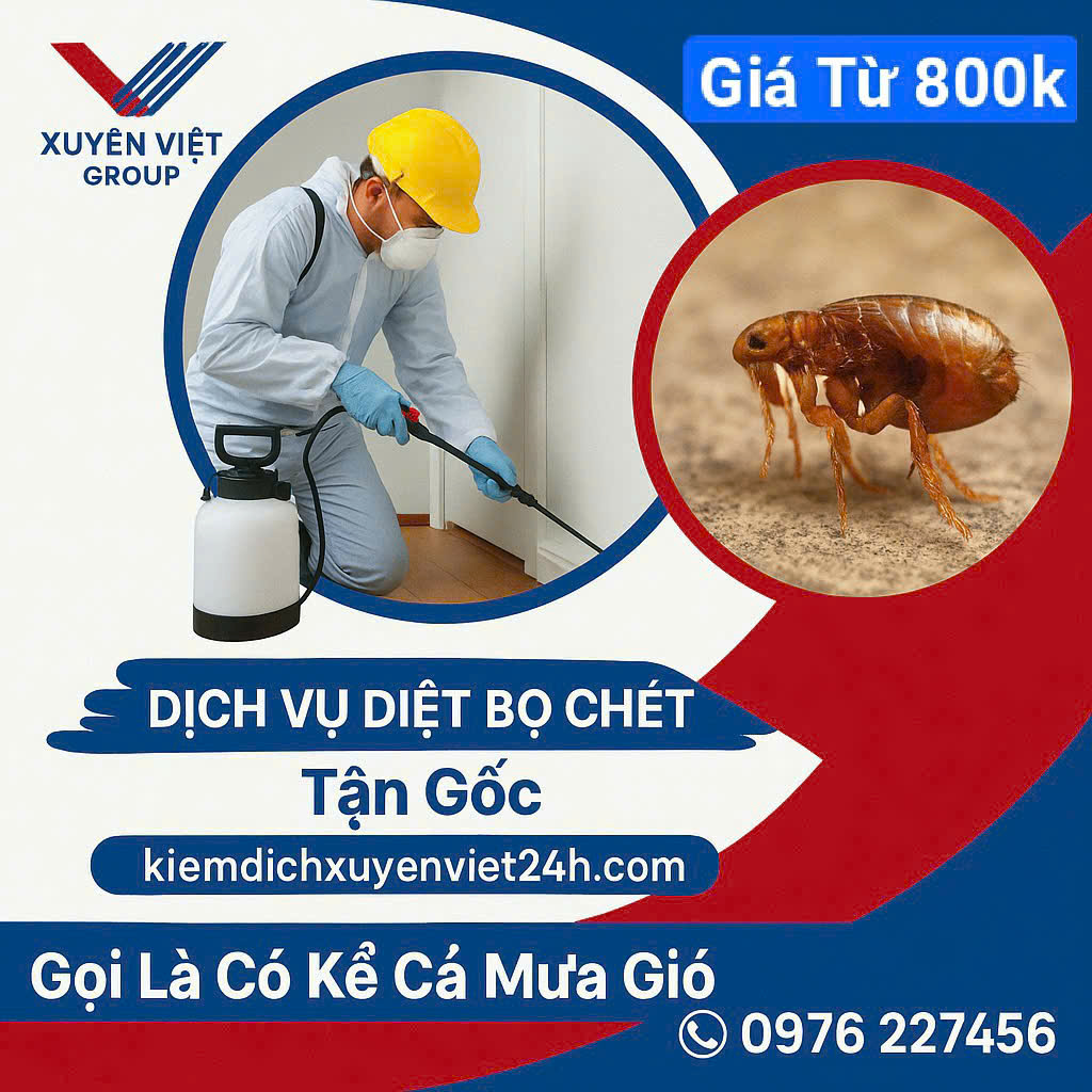 Diệt bọ chét tại quận Nam Từ Liêm – An toàn cho cả gia đình!