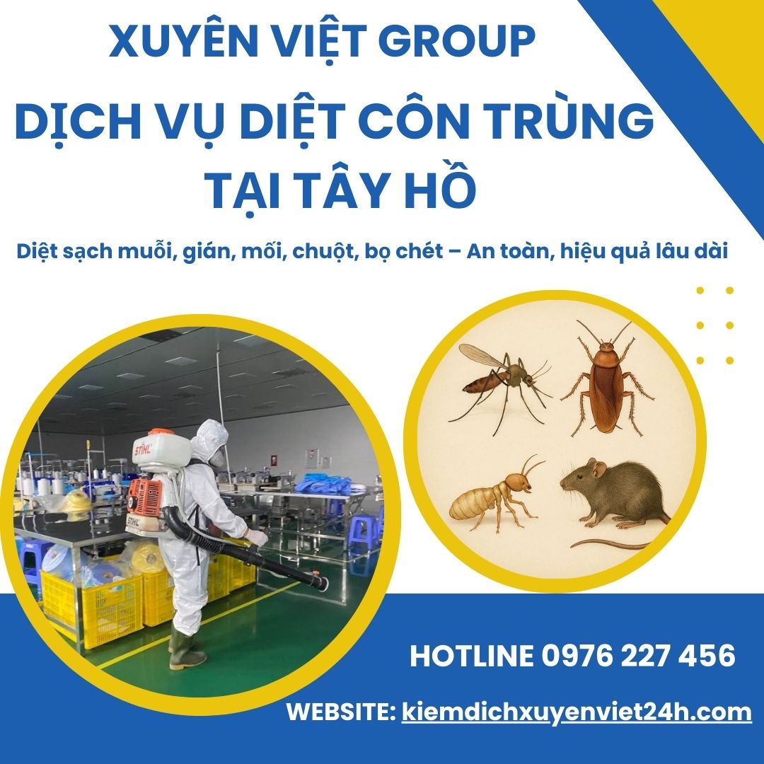 Xuyên Việt Group – Dịch vụ diệt côn trùng tại Tây Hồ nhanh chóng, tận gốc!
