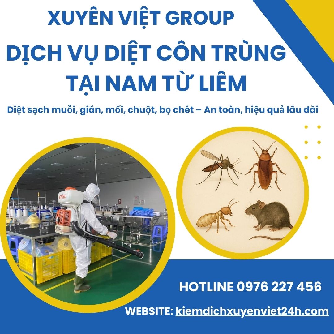 Xuyên Việt Group – Dịch vụ diệt côn trùng uy tín tại Nam Từ Liêm