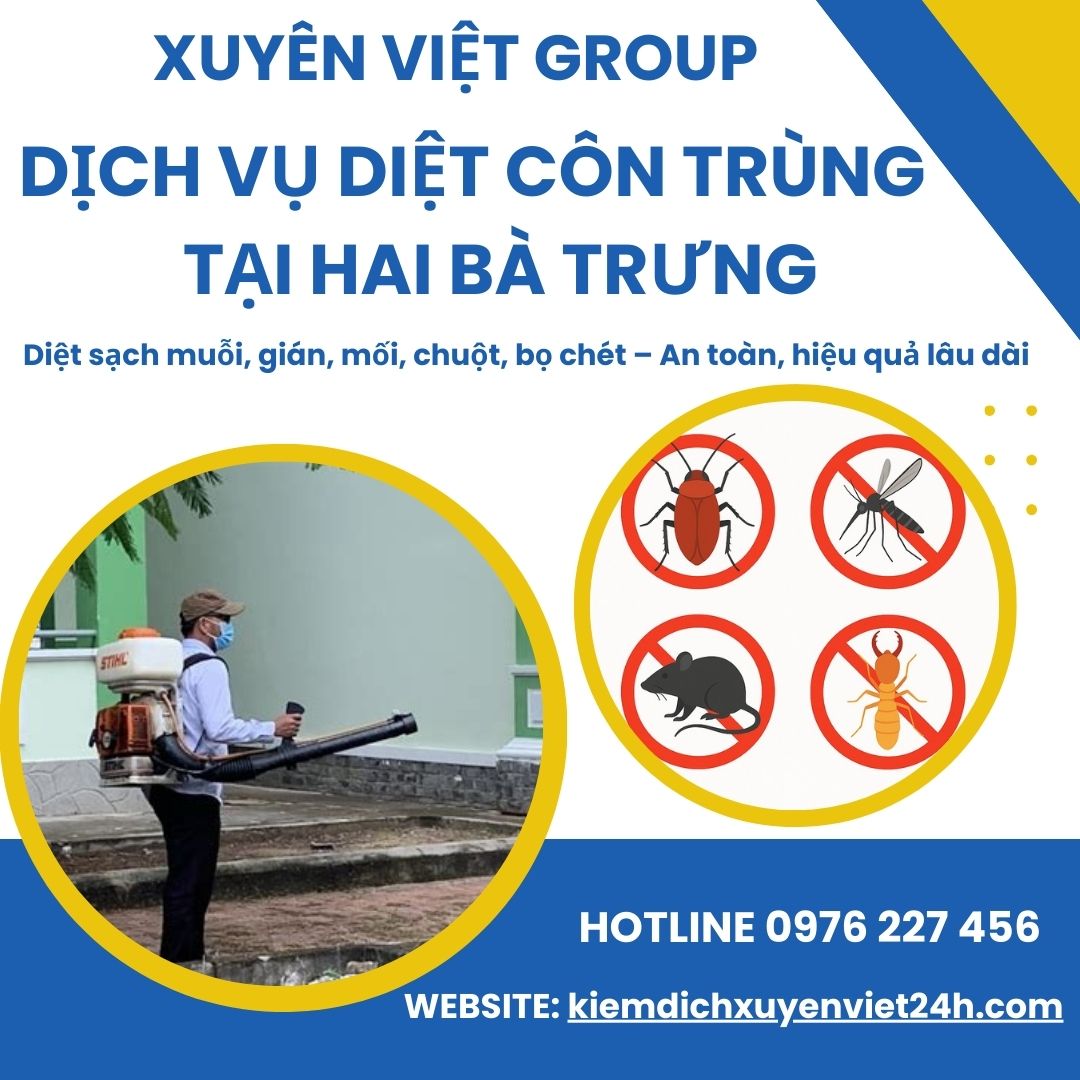 Xuyên Việt Group – Dịch vụ diệt côn trùng tại Hai Bà Trưng hiệu quả chỉ sau 1 lần xử lý
