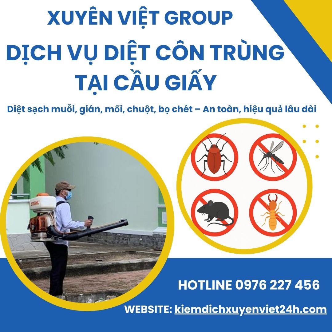 Xuyên Việt Group – Dịch vụ diệt côn trùng tại Cầu Giấy nhanh chóng và hiệu quả.