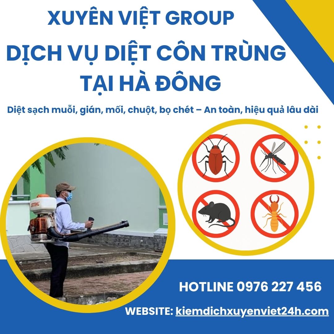 Xuyên Việt Group – Dịch vụ diệt côn trùng tại Hà Đông, sạch tận gốc – an toàn tuyệt đối!