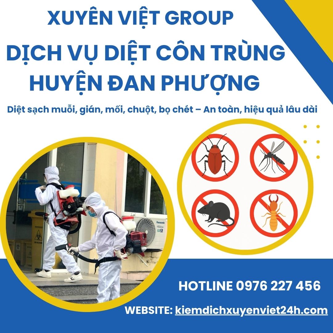 Dịch vụ diệt côn trùng tại Đan Phượng nhanh – sạch – không tái phát