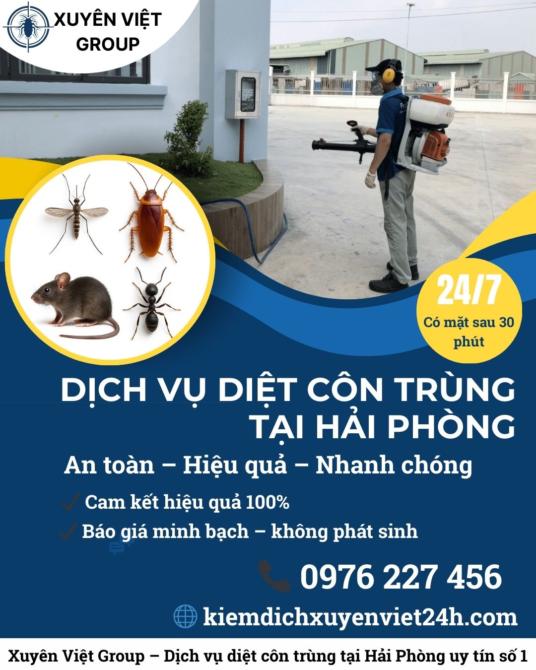 Dịch vụ diệt côn trùng tại Hải Phòng của Xuyên Việt