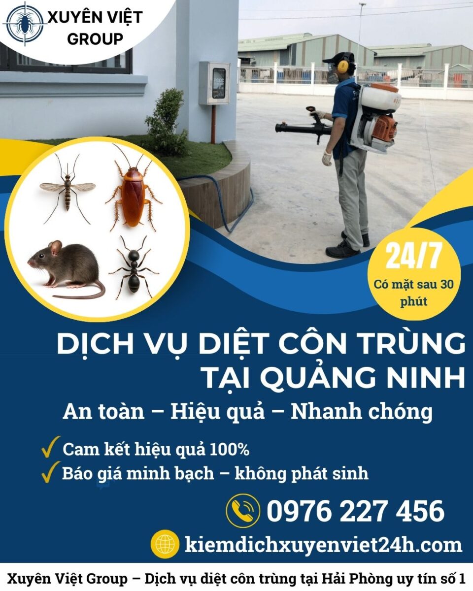 Xuyên Việt Group – Dịch vụ diệt côn trùng tại Quảng Ninh an toàn, bảo hành rõ ràng!