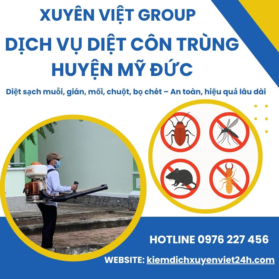 Dịch vụ diệt côn trùng huyện Mỹ Đức – Nhanh gọn, an toàn, giá hợp lý!