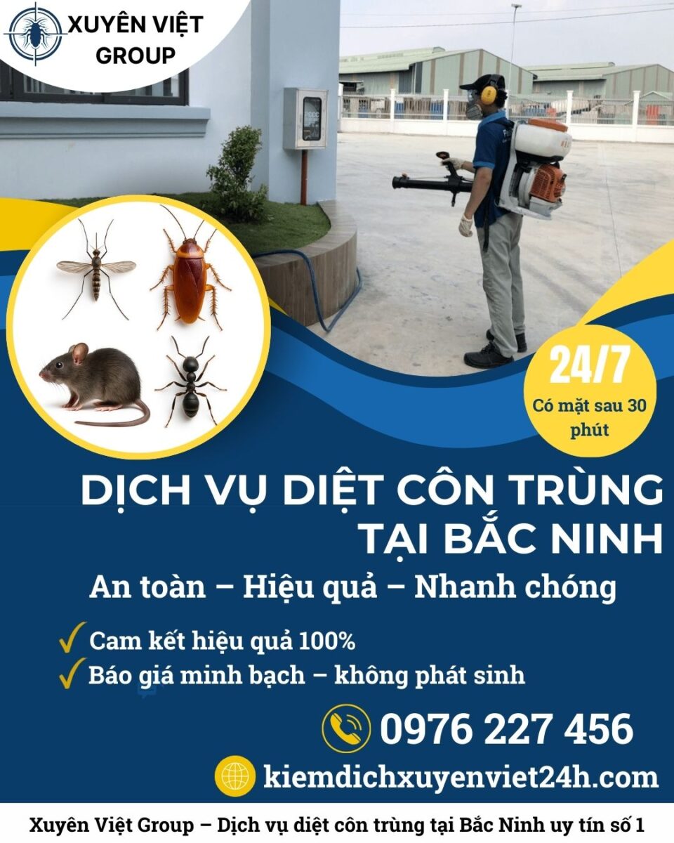 Dịch vụ diệt côn trùng tại Bắc Ninh – Nhanh, sạch, không tái nhiễm