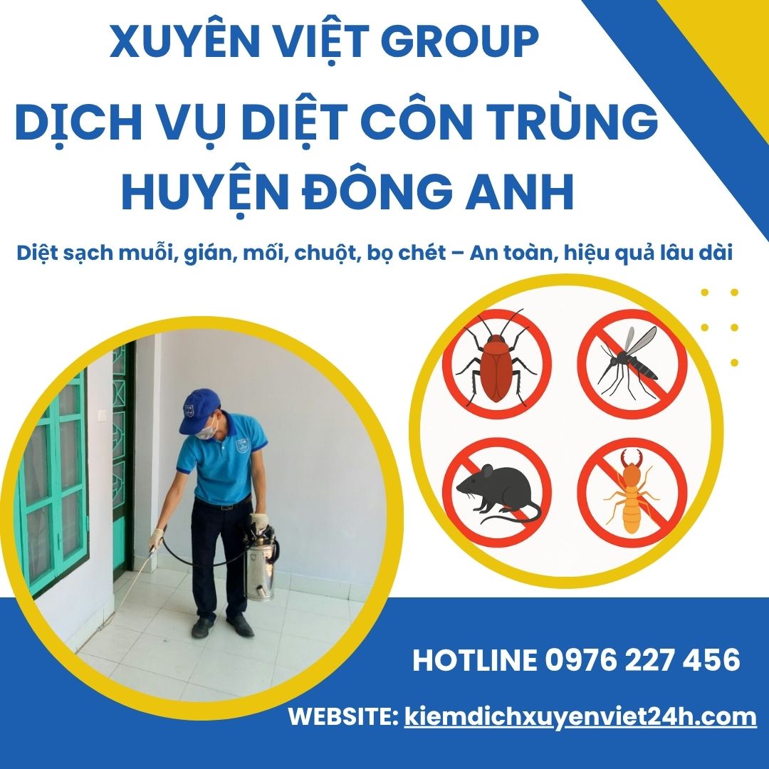 Xuyên Việt Group – Dịch vụ diệt côn trùng tại Đông Anh an toàn, nhanh chóng, hiệu quả!