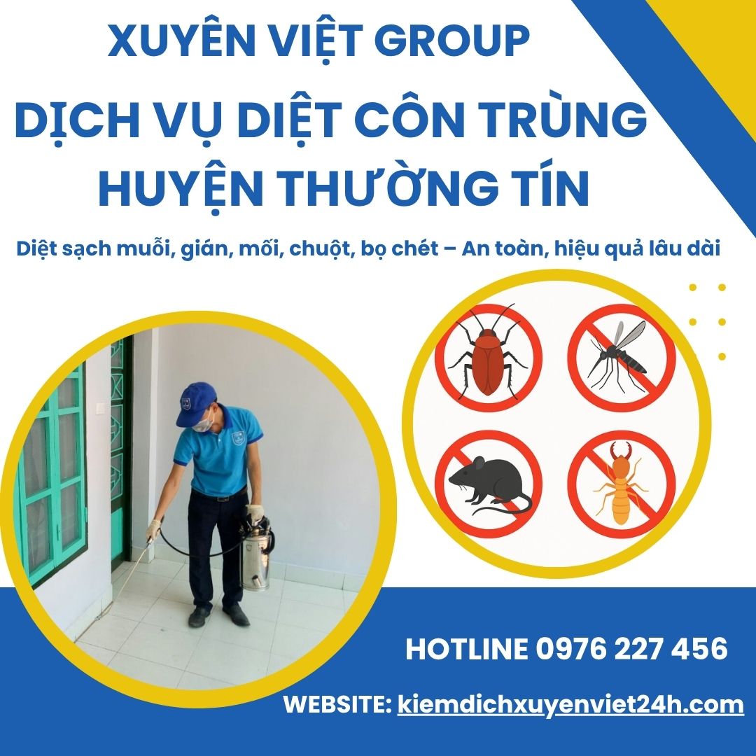 Xuyên Việt Group – Diệt côn trùng tại Thường Tín an toàn, tận gốc.
