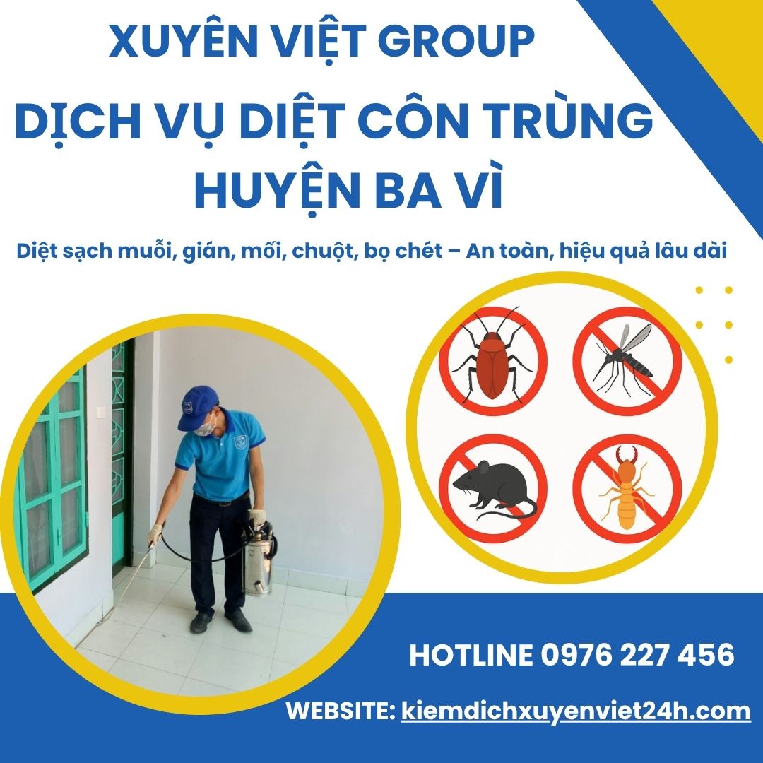 Xuyên Việt Group – Dịch vụ diệt côn trùng tại Ba Vì an toàn, hiệu quả tận gốc