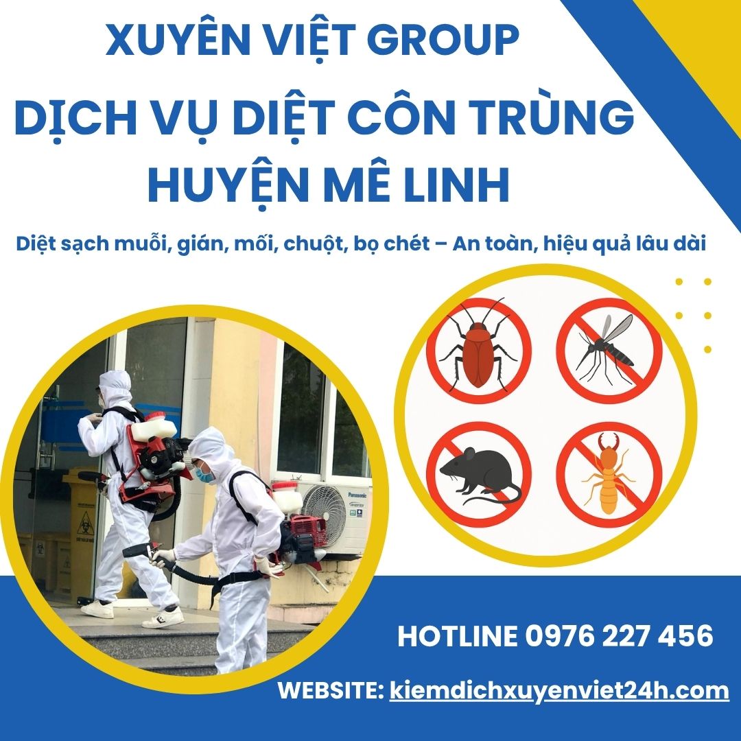 Dịch vụ diệt côn trùng huyện Mê Linh – Xử lý chuyên sâu cùng Xuyên Việt Group