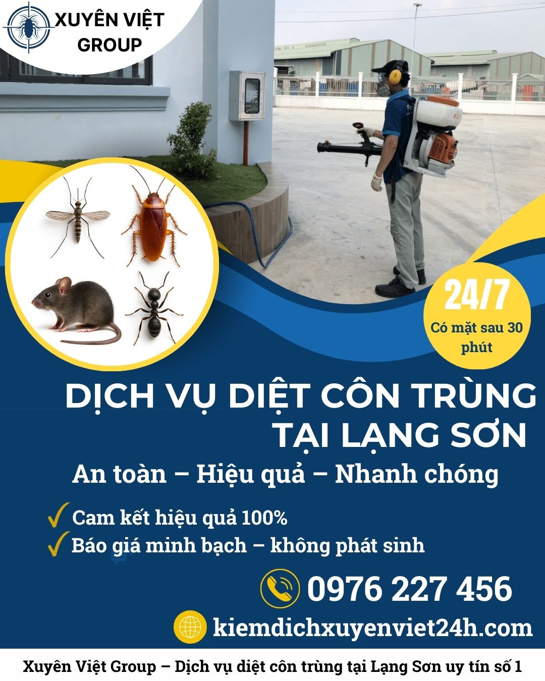 Dịch vụ diệt côn trùng tại Lạng Sơn – Giải pháp tận gốc, an toàn dài lâu
