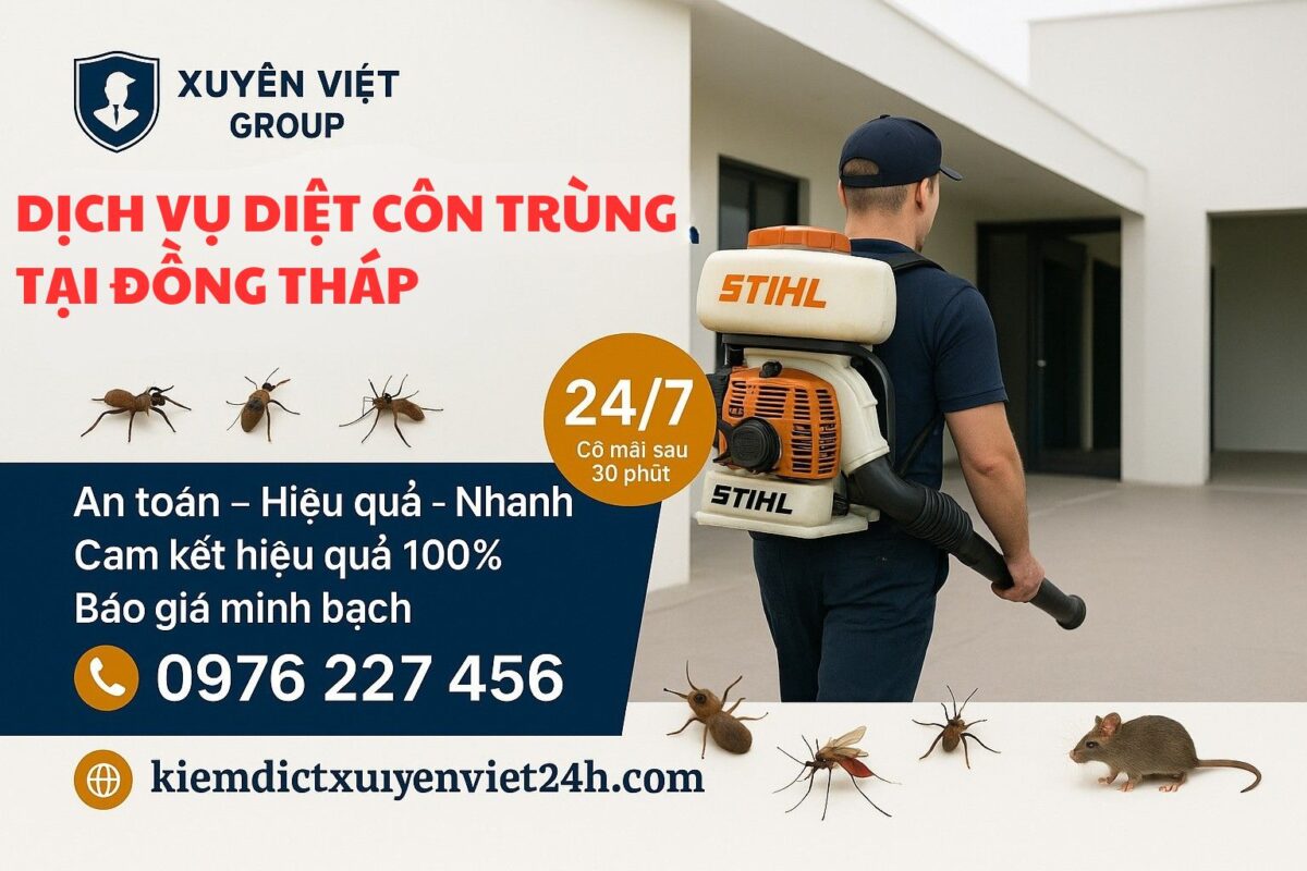 Dịch vụ diệt côn trùng tại Đồng Tháp