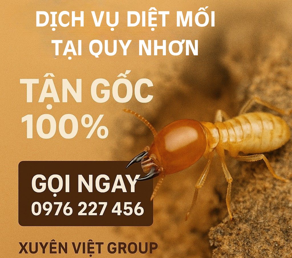 Dịch vụ diệt mối tại Quy Nhơn – Giá tốt, bảo hành đến 5 năm!