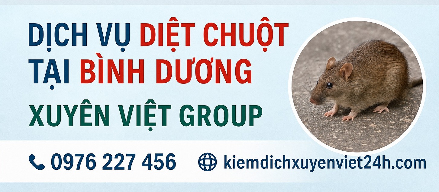 Dịch vụ diệt chuột tại Bình Dương