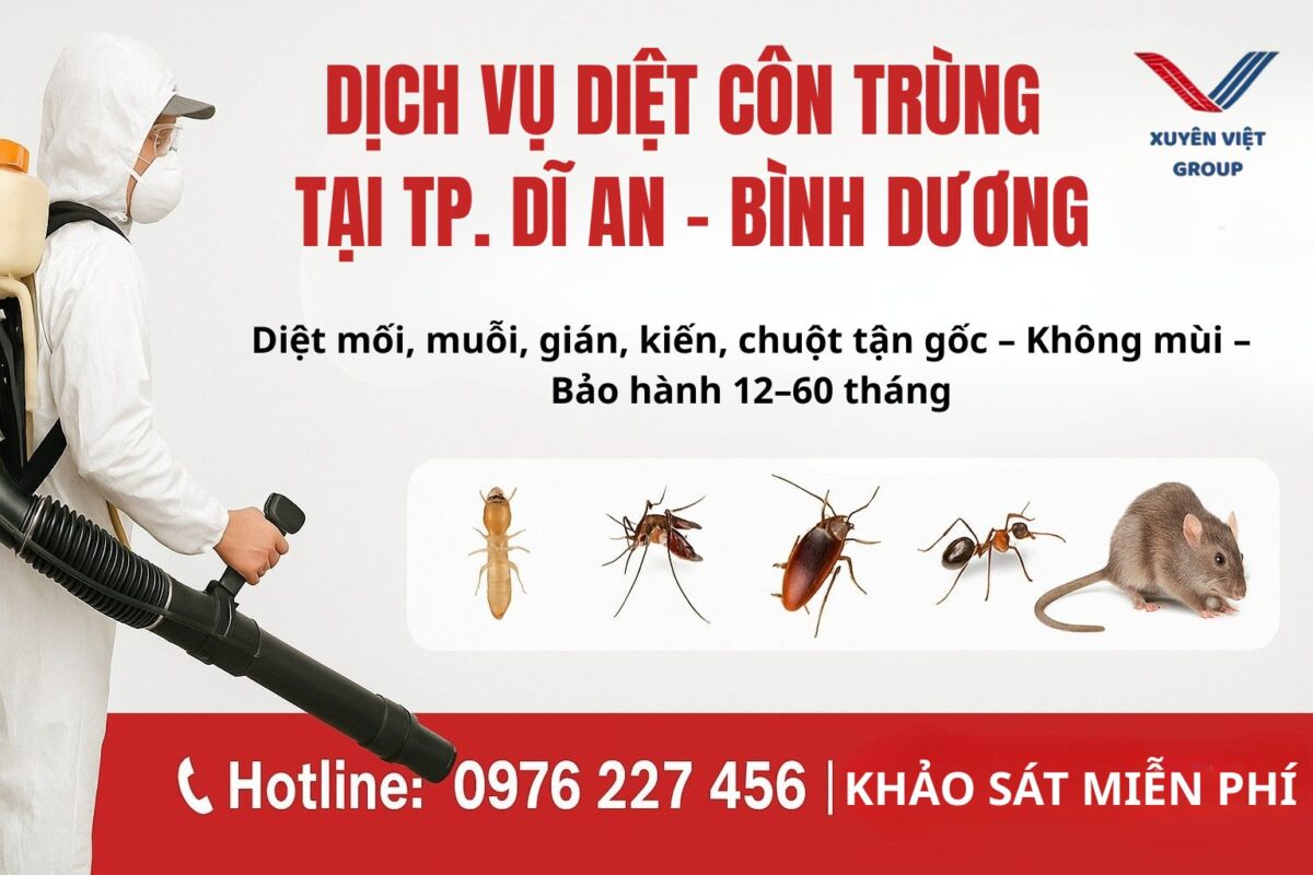 Dịch vụ diệt côn trùng tại Dĩ An