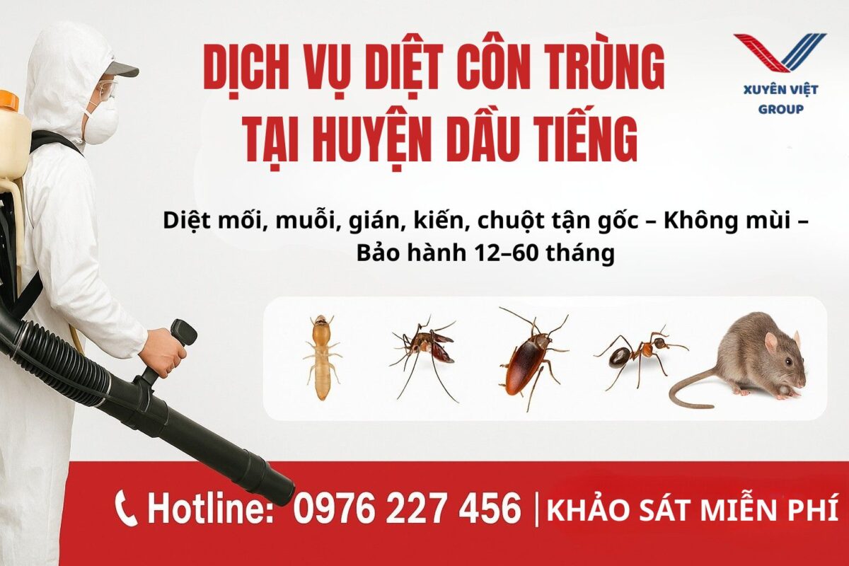 Dịch vụ diệt côn trùng tại Dầu Tiếng