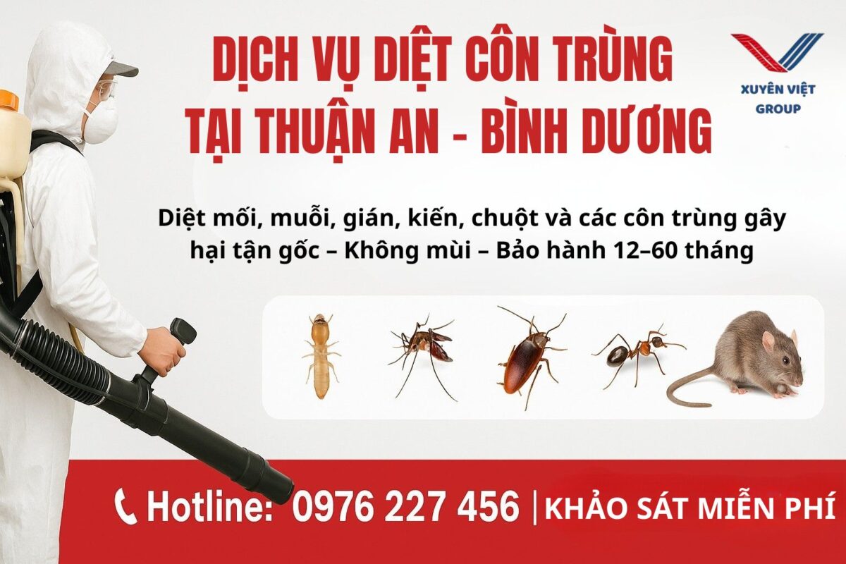 Dịch vụ diệt côn trùng tại Thuận An