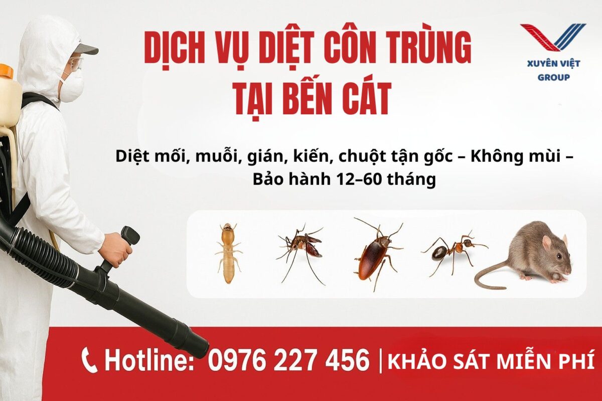 Dịch vụ diệt côn trùng tại Bến Cát – An toàn tận gốc, bảo hành dài lâu!