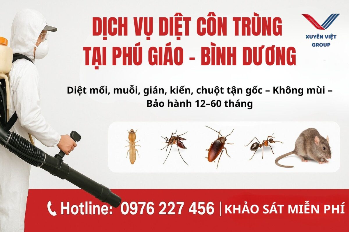 Dịch vụ diệt côn trùng tại Phú Giáo