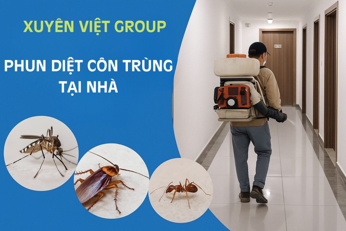Có nên tự phun thuốc diệt côn trùng tại nhà không?