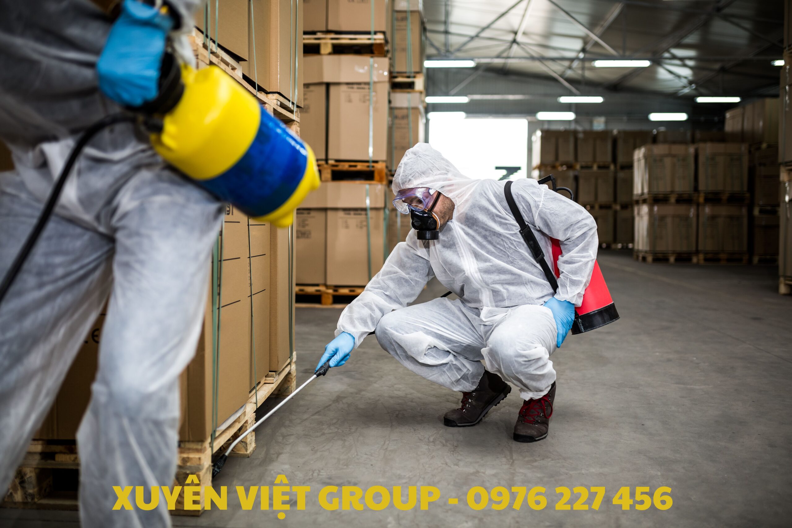 Diệt côn trùng tại Bình Phước giá tốt – An tâm cho nhà ở và doanh nghiệp.
