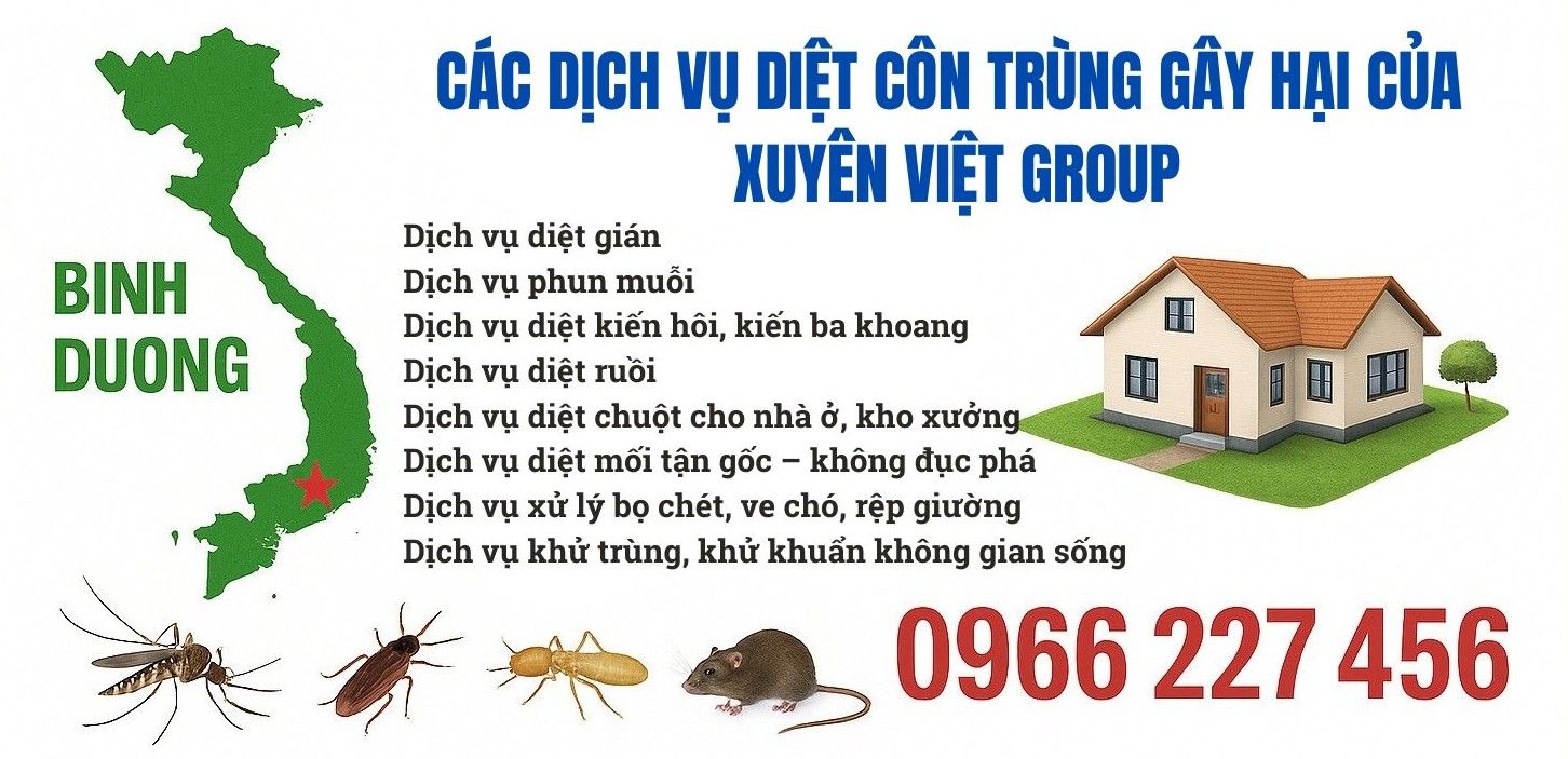 Các dịch vụ diệt côn trùng tại Bình Dương chúng tôi triển khai