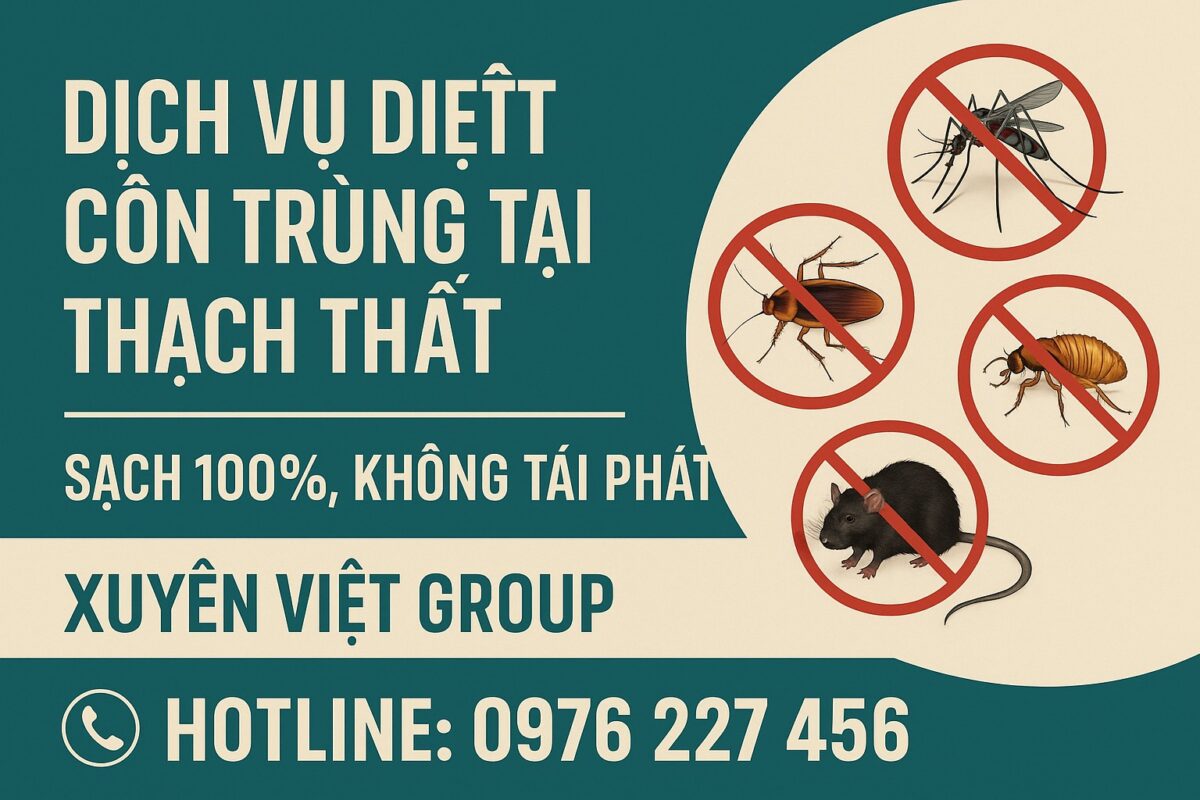 Dịch vụ diệt côn trùng tại Thạch Thất – Giải pháp sạch sẽ cho mọi không gian sống