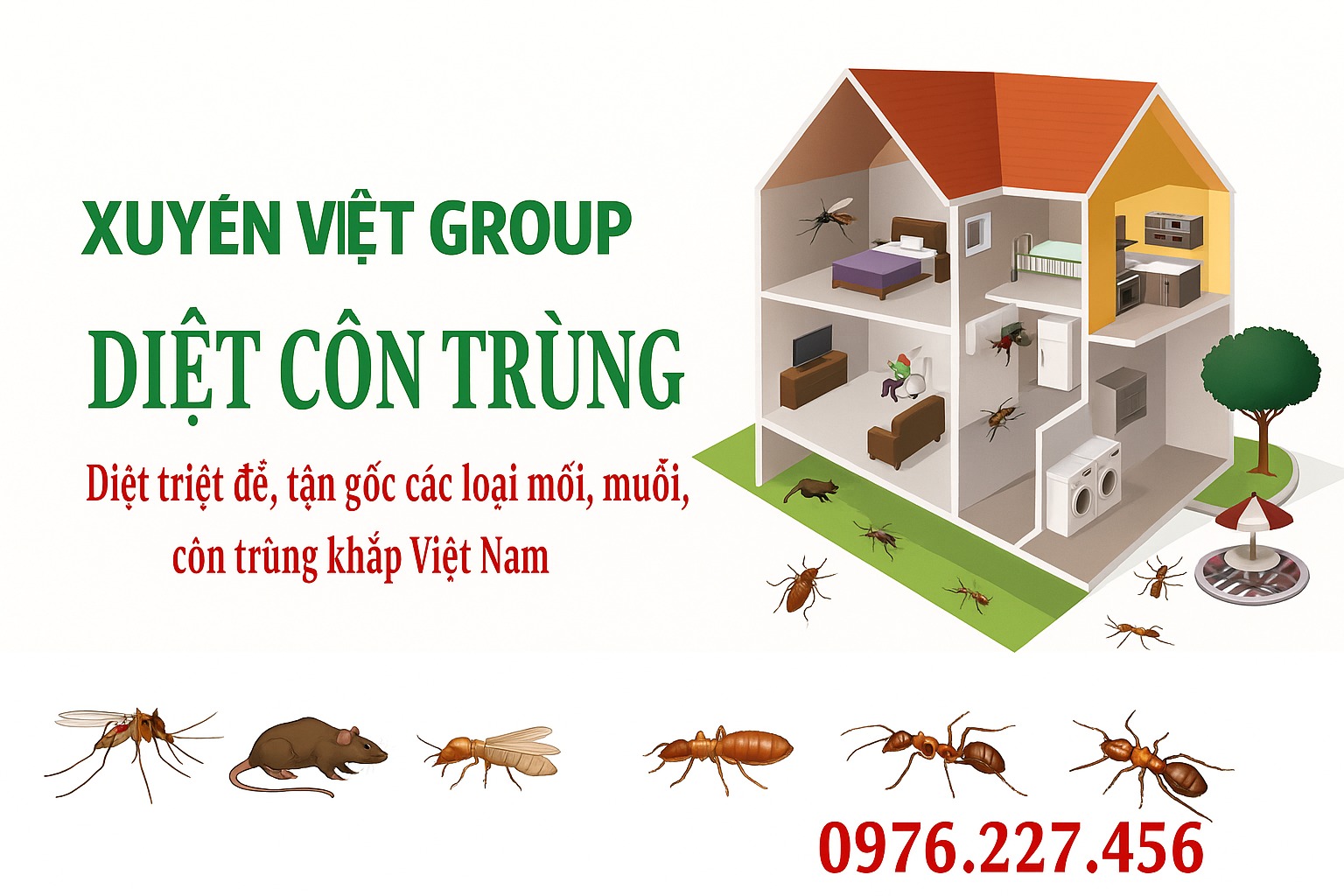 Diệt sạch côn trùng, an tâm dài lâu cùng dịch vụ diệt côn trùng huyện Mỹ Đức!