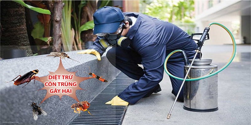 Tiêu diệt các côn trùng gây hại là giải pháp bảo vệ không gian sống của bạn