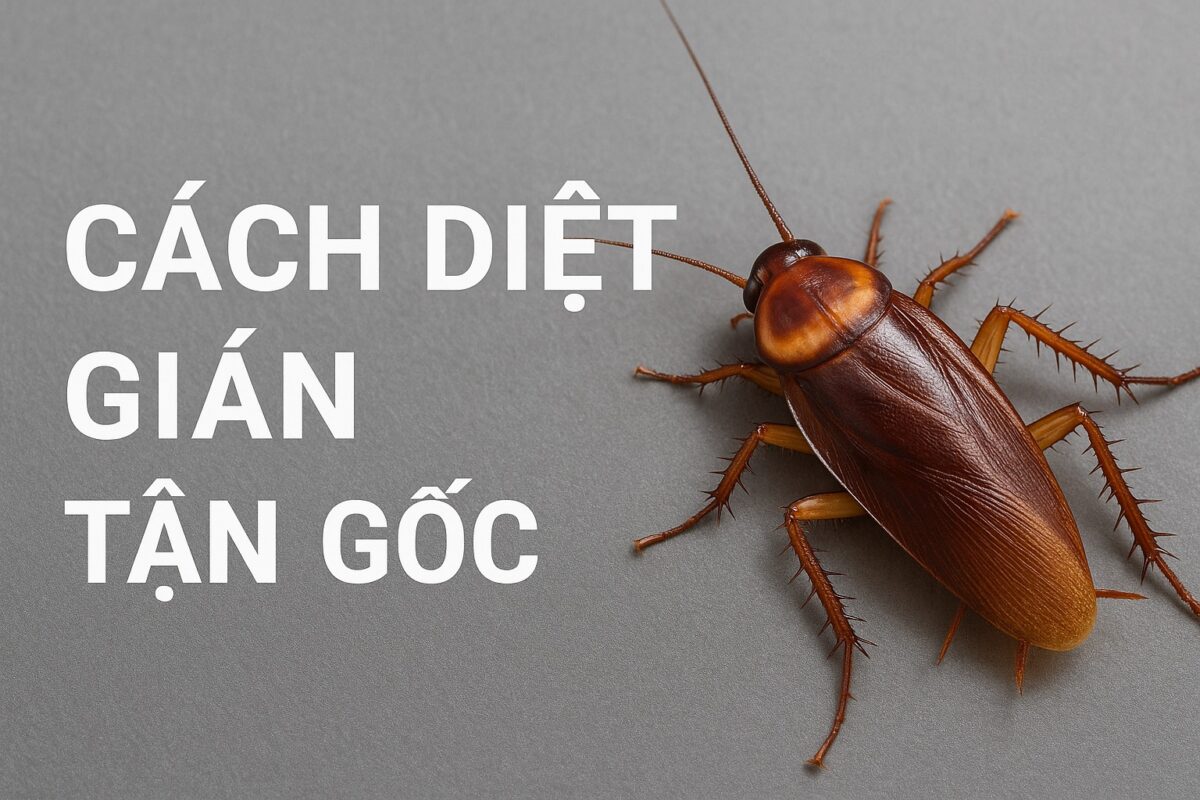 Cách diệt gián tận gốc