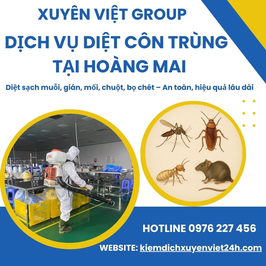 Xuyên Việt Group – Dịch vụ diệt côn trùng tại Hoàng Mai, bảo vệ tổ ấm của bạn