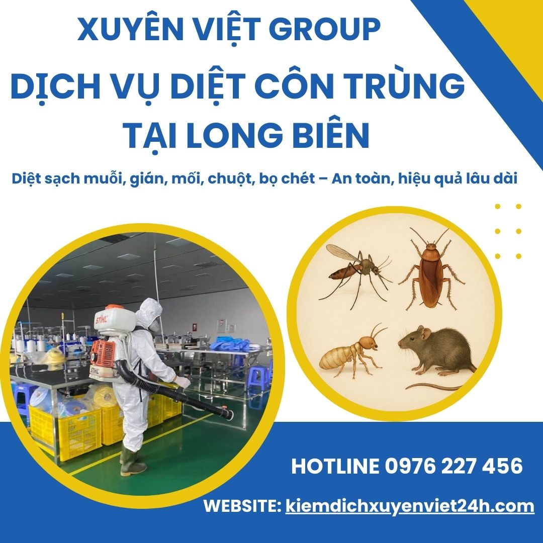 Xuyên Việt Group - Diệt côn trùng hiệu quả, an toàn tại Long Biên!