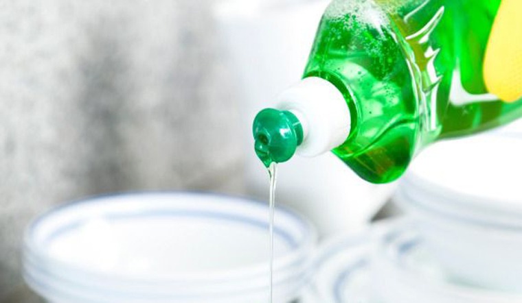 Dùng nước rửa chén để diệt kiến