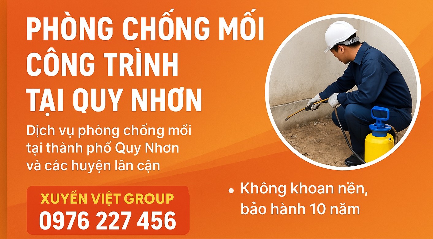 Phòng chống mối công trình tại Quy Nhơn – An toàn từ móng lên mái